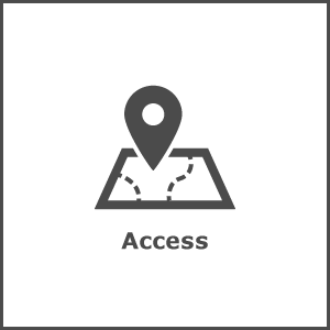 Access